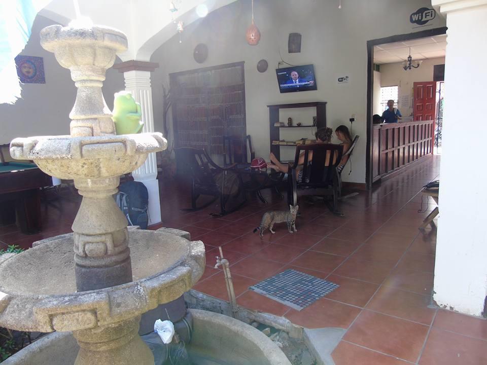 Hostal El Jardin Leon Exterior photo